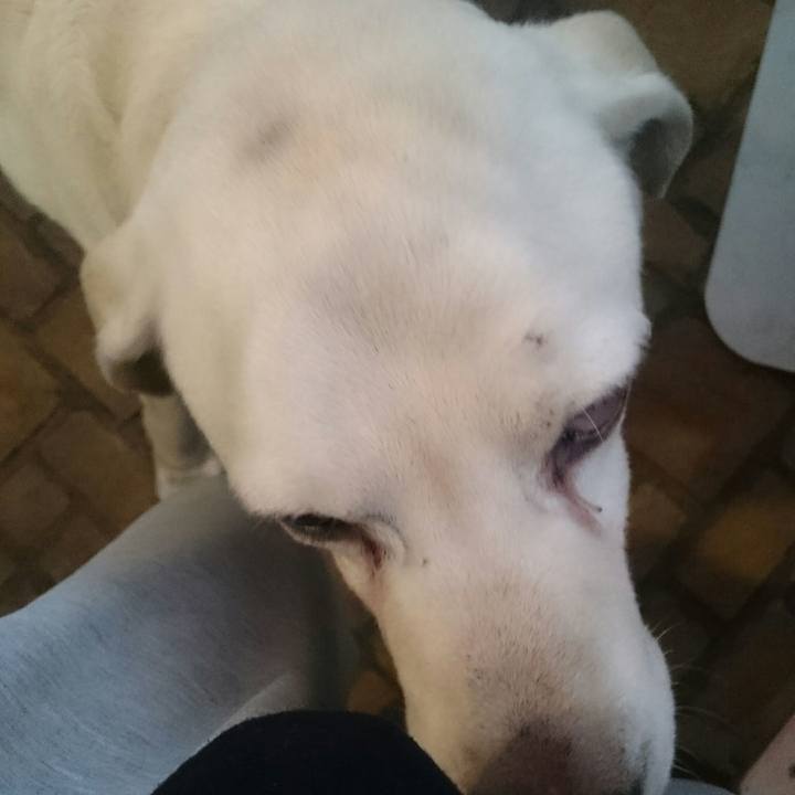 B6edd171 c907 4612 8767 31daf51f8abc