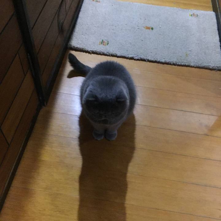 B6ee59db 766b 4be0 a3e3 937165d1a726