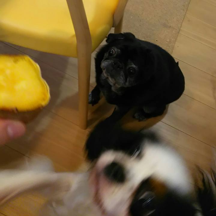 B6eeace0 4503 49cd a054 1e845a0809fc