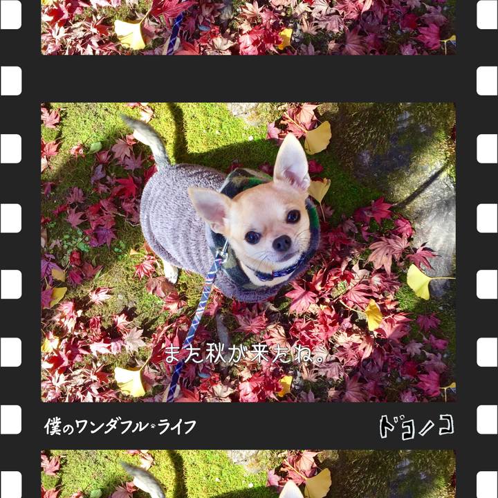 B6eebd6c 8e74 431b a586 abdeabfdcac4