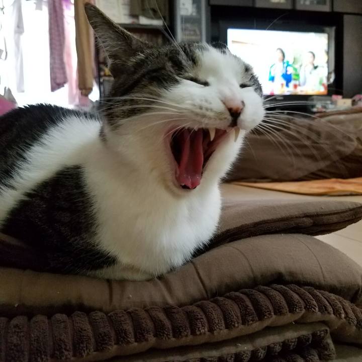 B6ef3ed1 1381 4360 9c24 5673c2c3c0b2