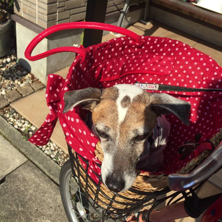 B6efaa04 909e 4bc8 aa61 625ea873c661