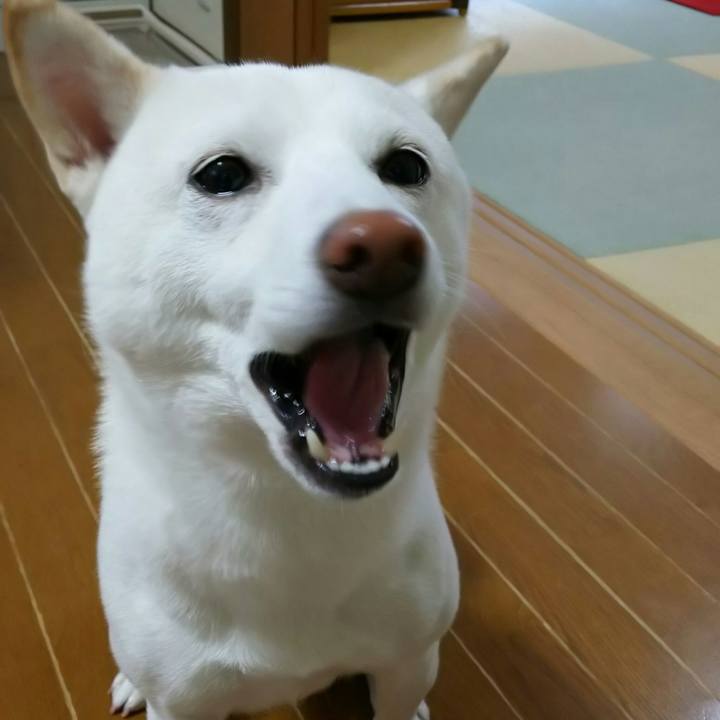 B6efbb08 68d2 42c7 a50b eaedacf7043a