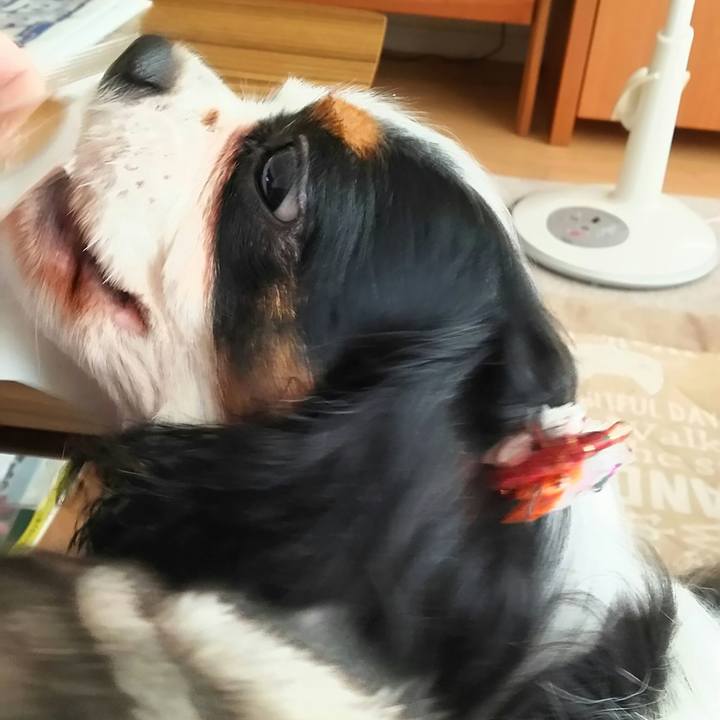 B6f04d35 5b20 4e14 8b15 e03fde07434e