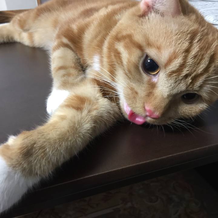 B6f14f30 5224 48e8 99b9 9b32ae5b0261