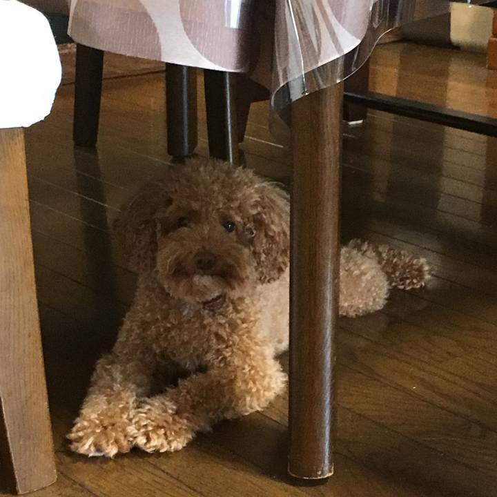 B6f18fc7 4555 4413 9230 23761c6f3a76