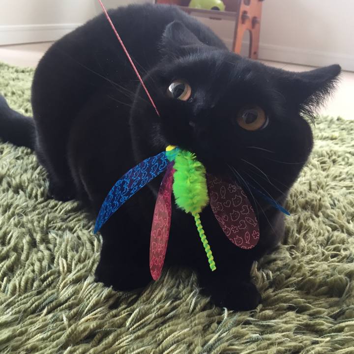 B6f1baff e084 439c af8b ef505d08658d