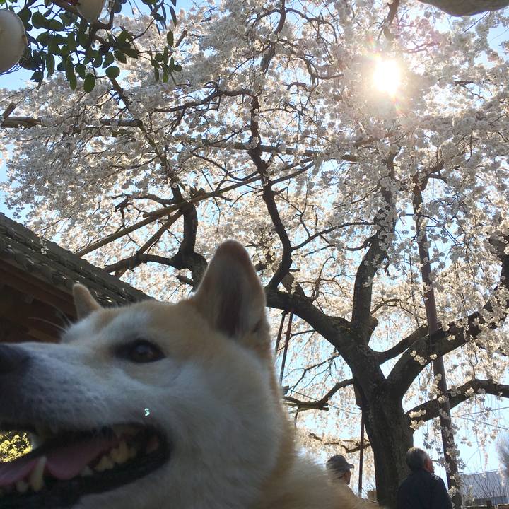 B6f1e734 ff7b 4a90 9f70 04b528399628