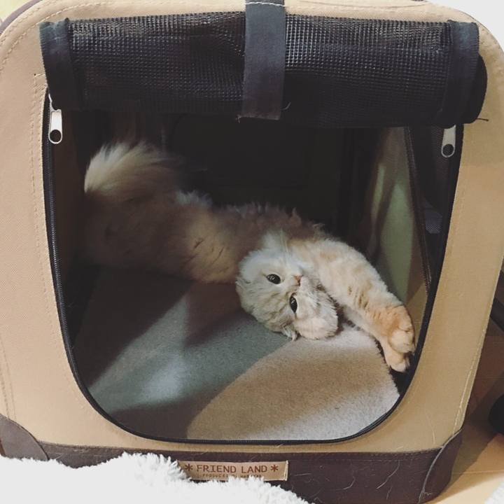 B6f24117 5b28 4558 8688 70869bfd28ab