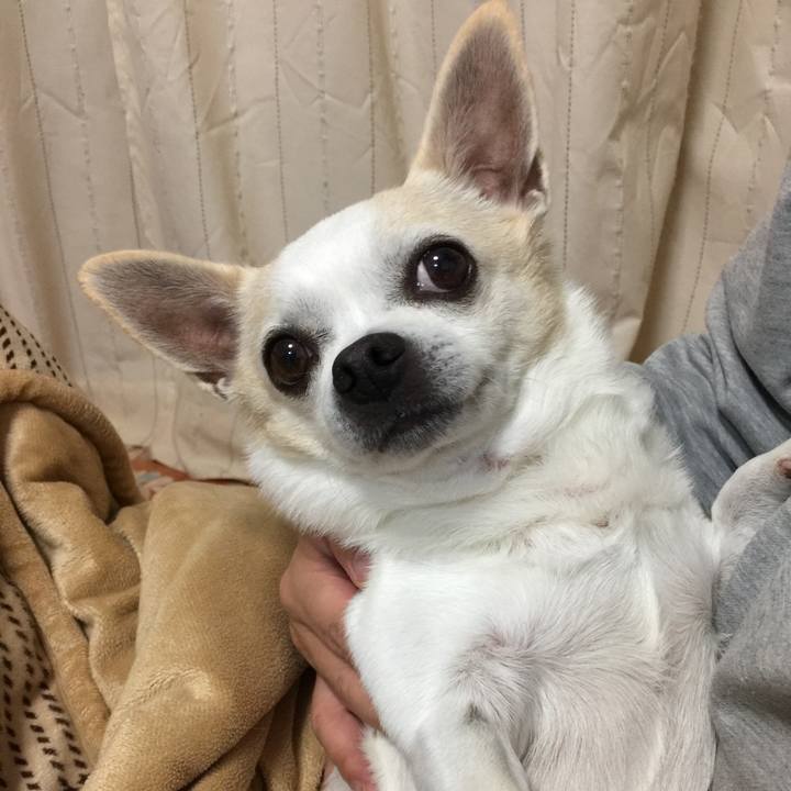 B6f33902 8290 47cc bd2c 0f2cf981ee35