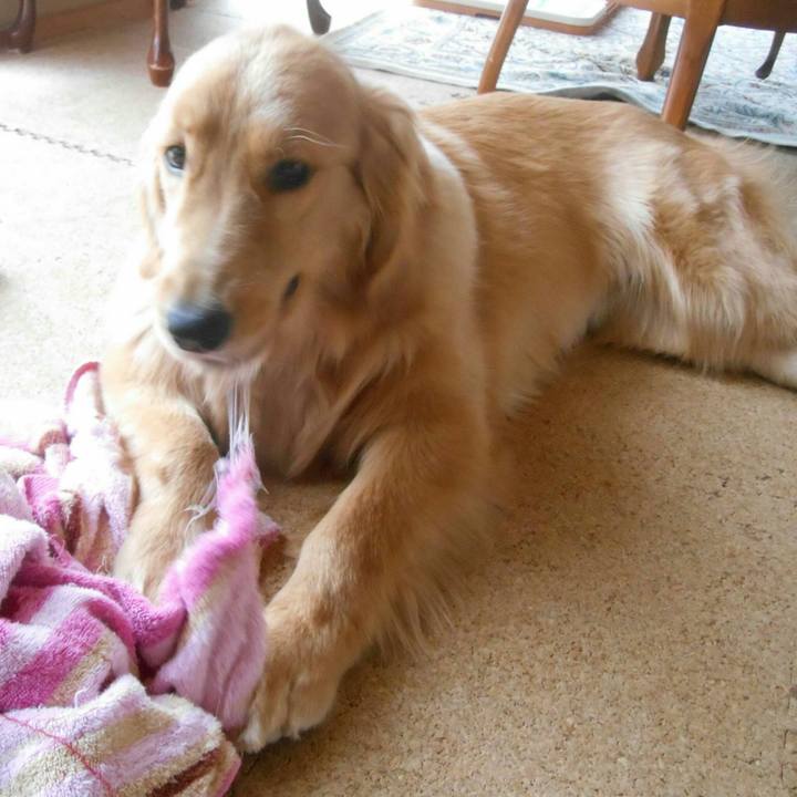 B6f34d38 7fbf 4601 9913 df797189fc51