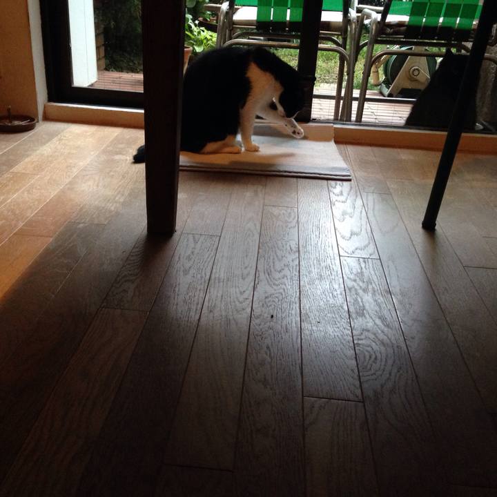 B6f3858c 6e73 418c a2e2 5dab3db012b1