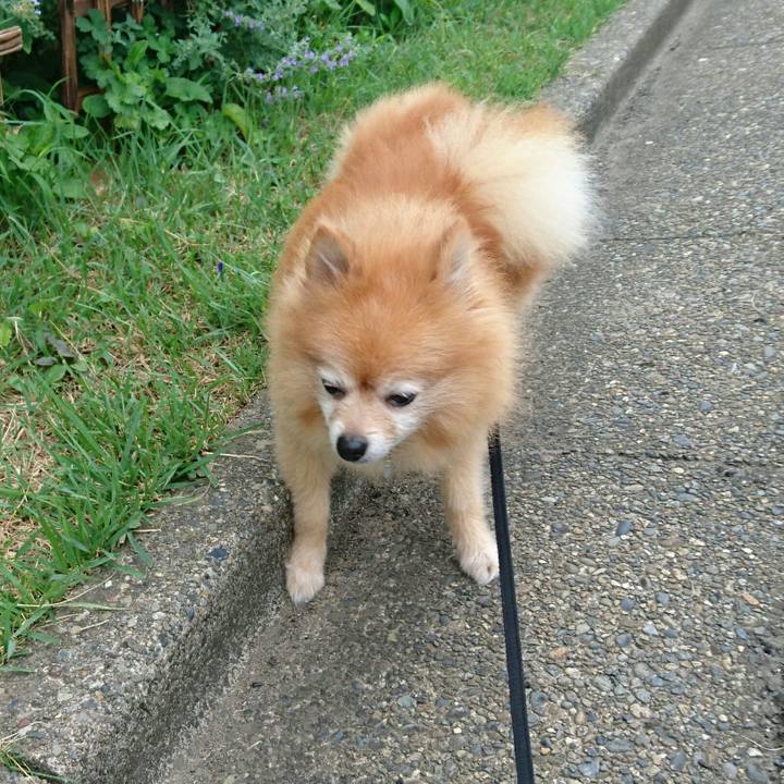 B6f39322 ba9a 4da6 9cbf a7fe7cd9a493