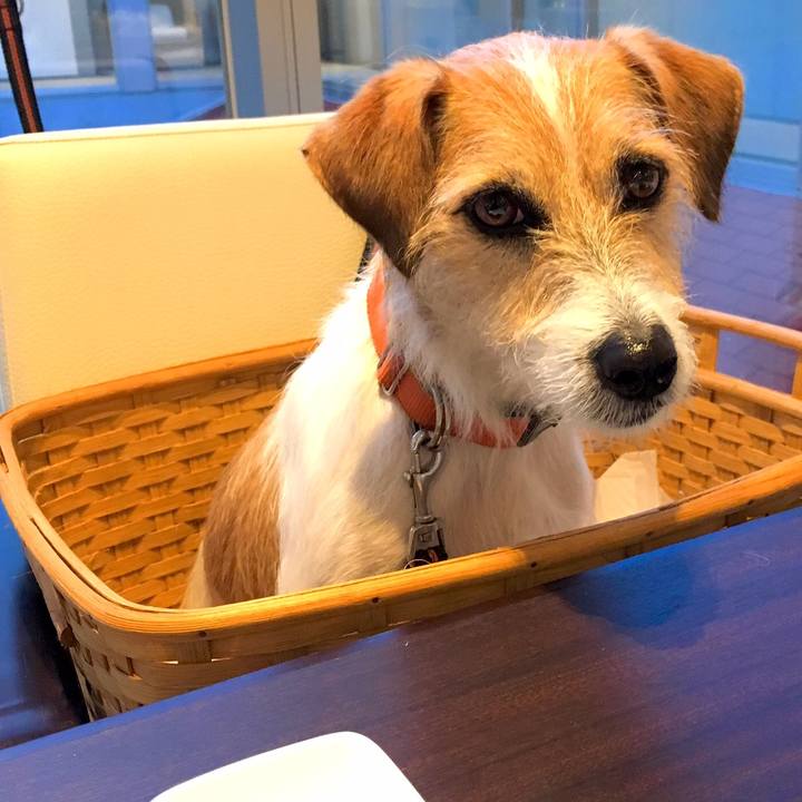 B6f407f9 d6f2 43f7 9cea 367ea711021e