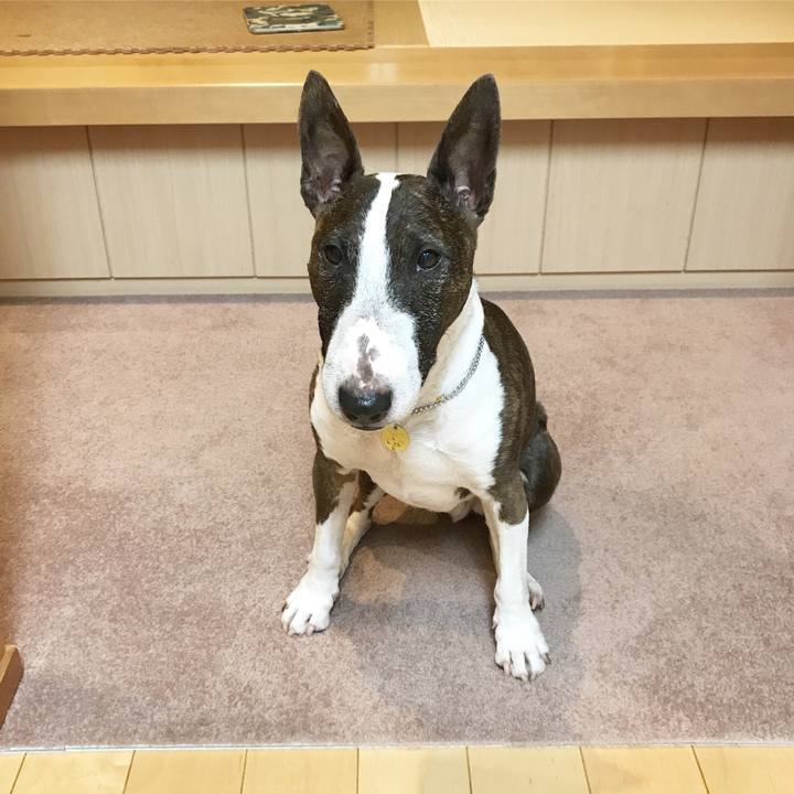 B6f50202 d936 4e05 8246 fe908d784885