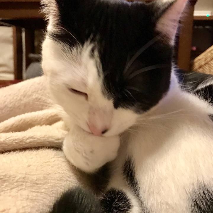 B6f544ac a176 4c43 a699 b8b53b917ee9