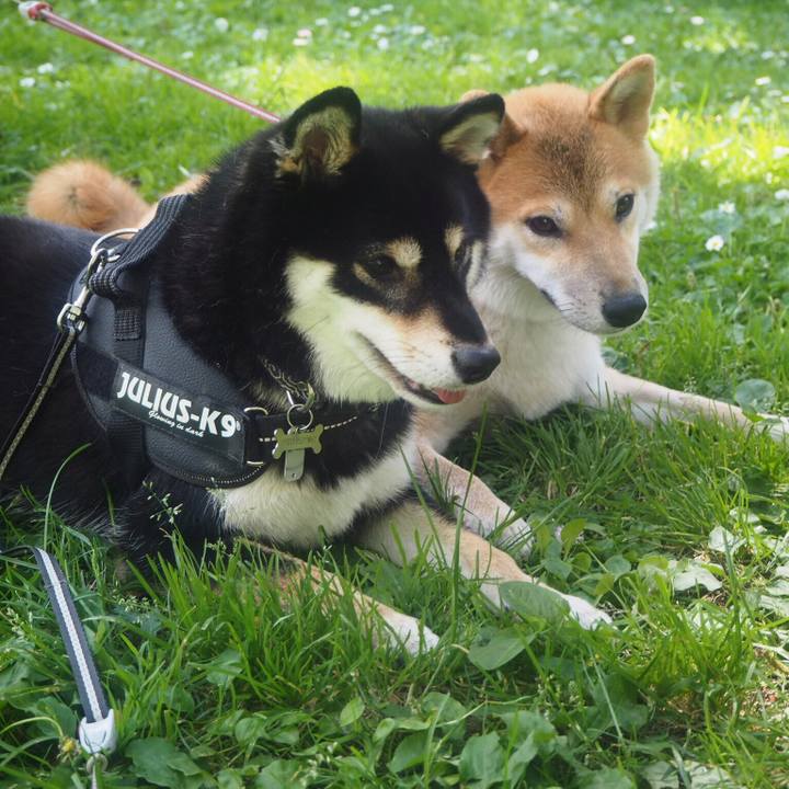 B6f5cec3 9bf4 49df b7e6 2a87fd26017d