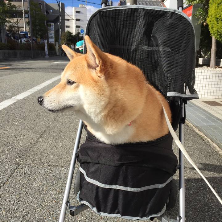 B6f6ec26 7e0f 498f b269 67badcaa04db