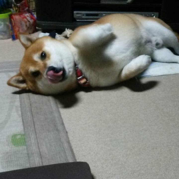 B6f70eab 5329 4939 b0b9 37159976a48c