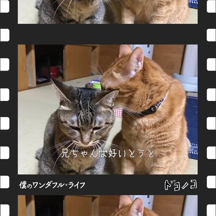 B6f76370 5884 4dc3 8d5d c13b7ea3bcb9