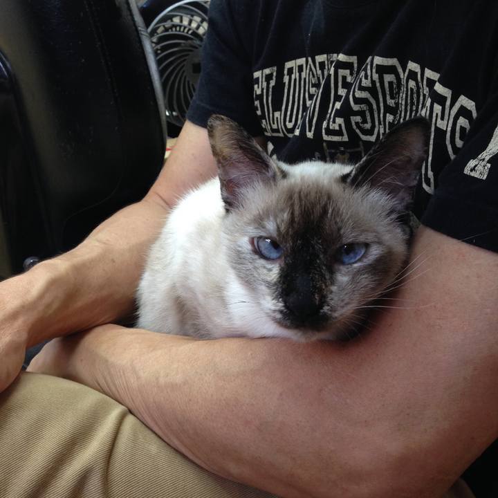 B6f77906 f875 49d9 88d1 cd166d64ff61