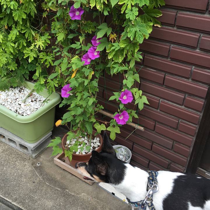 B6f7aec7 c09d 4e98 a7aa 75437cc308d3