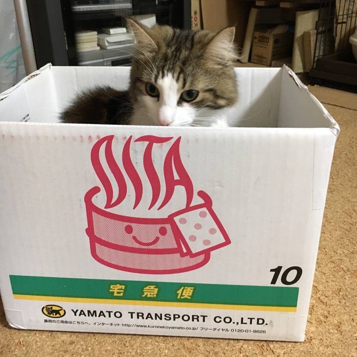 B6f8be2d e54f 4df1 8027 98f7129ca519