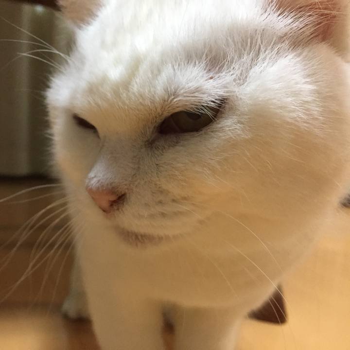 B6f8da8b d47d 4ee5 8ec9 c8ef6610d211