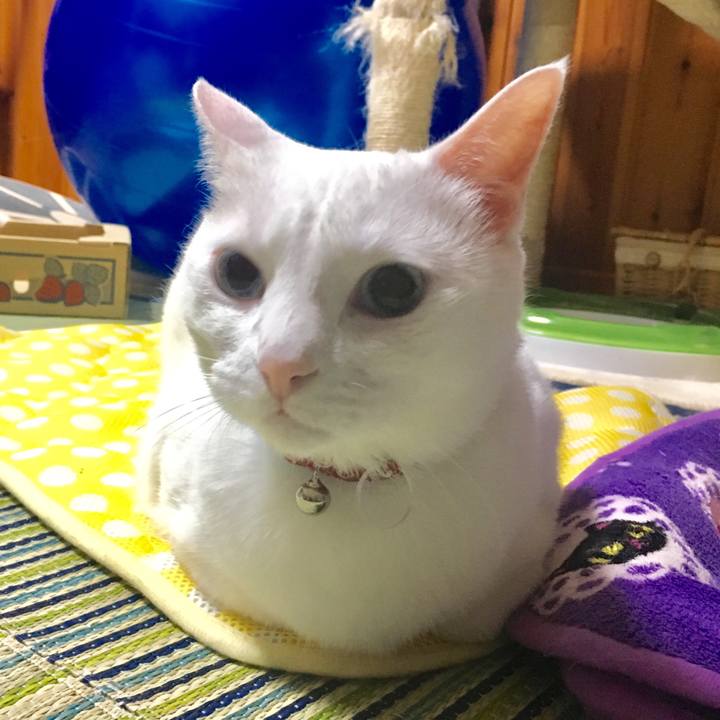 B6f92798 733d 4964 895f 4ca939eabe31