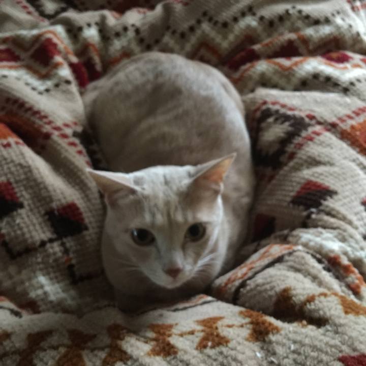 B6f939d1 a904 4127 9ef5 902bcec12355