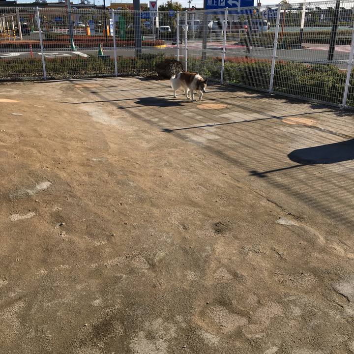 B6f9569c 6fd4 42a9 8ba7 c41837155de7