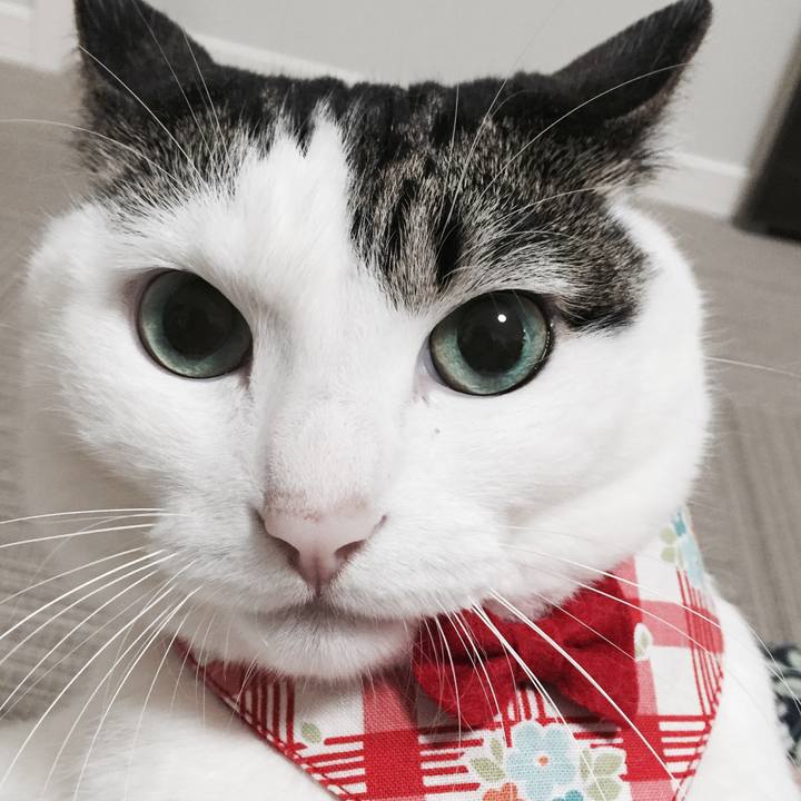 B6fa3bdb e9e8 4c4d 9cbc ceac53deb372