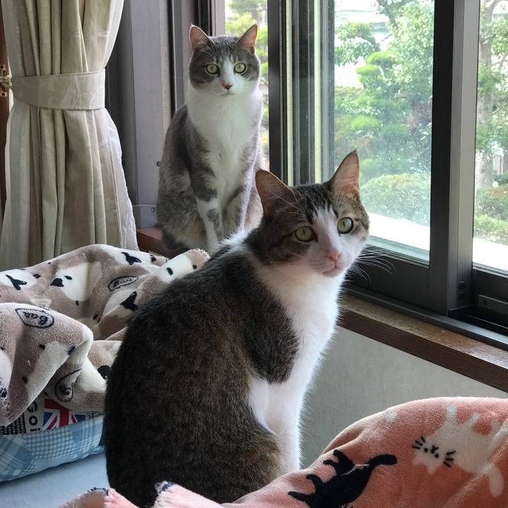 B6fa4b8e f9a3 453e abf3 9d98eea29ff2