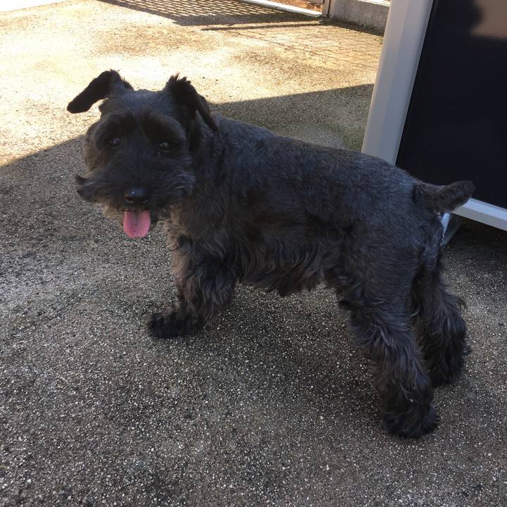 B6fa93e5 156a 4c5c bfc2 7964cff2b595