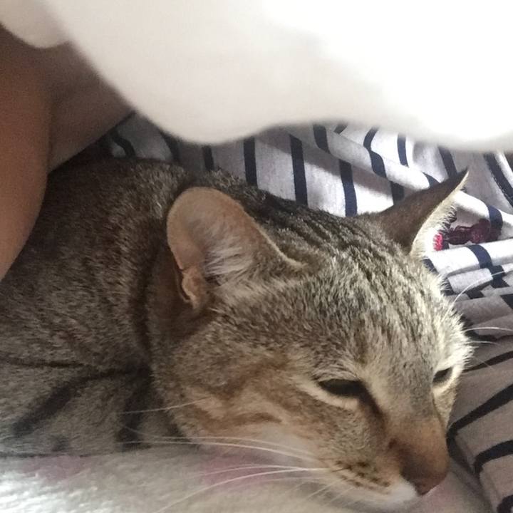 B6fb077d d678 4a4d 861f bc84312be8ca