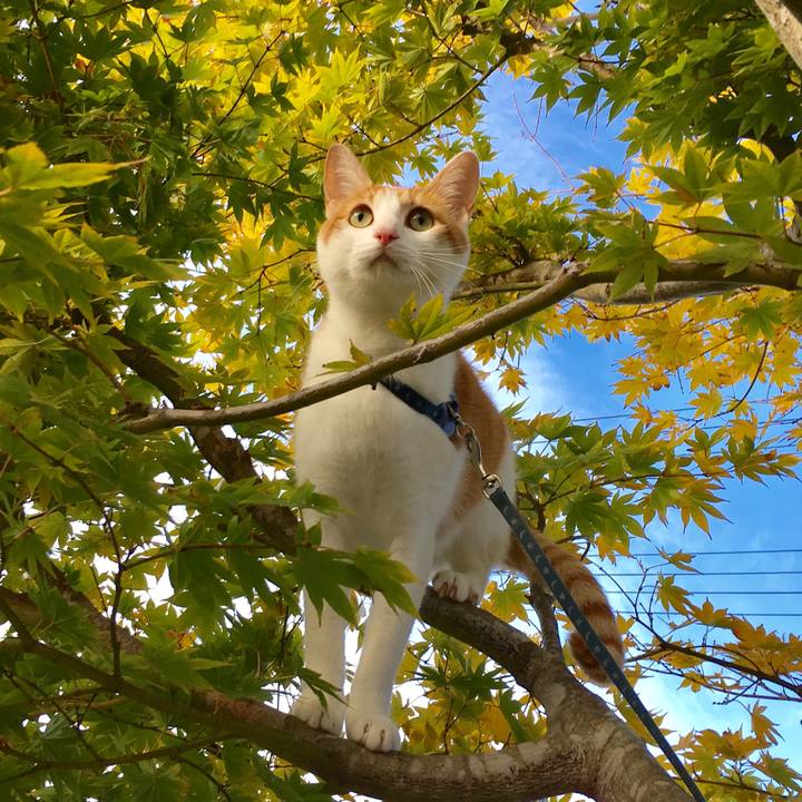 B6fb2056 16f2 4a35 8009 d3e3ef91200e