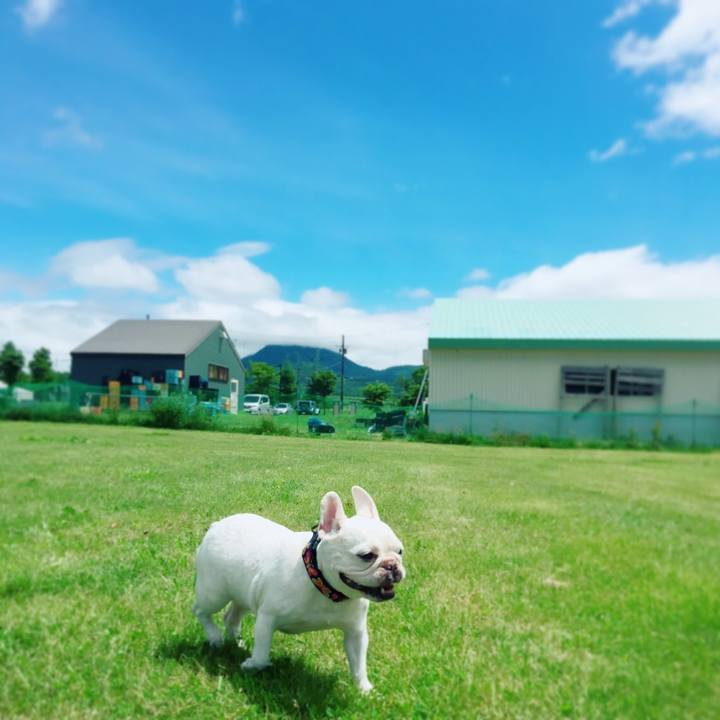 B6fb3105 34d2 4ea1 8672 a97b9238eeab