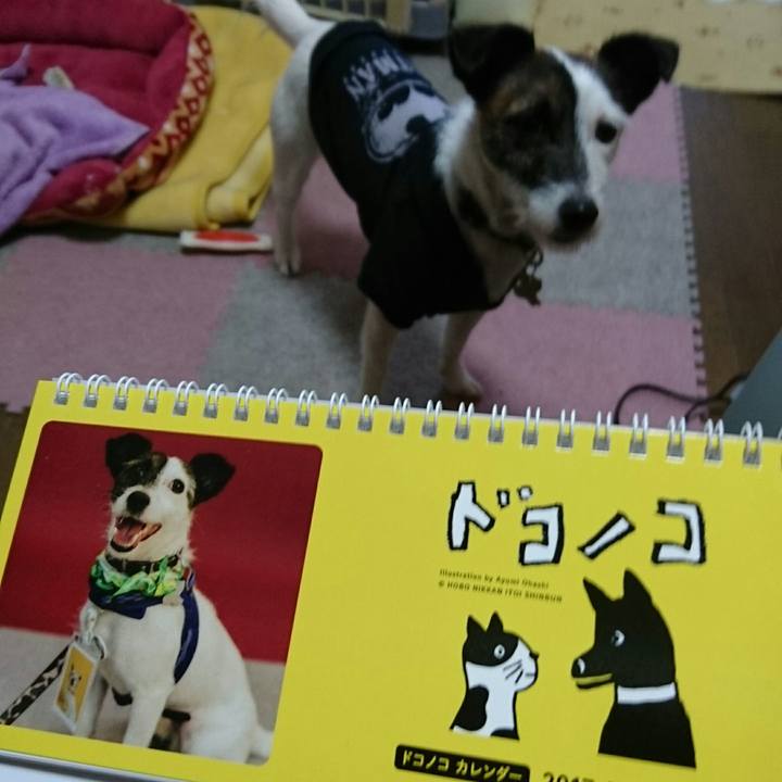 B6fb84ef 847f 4085 b42b 53f433b2386b