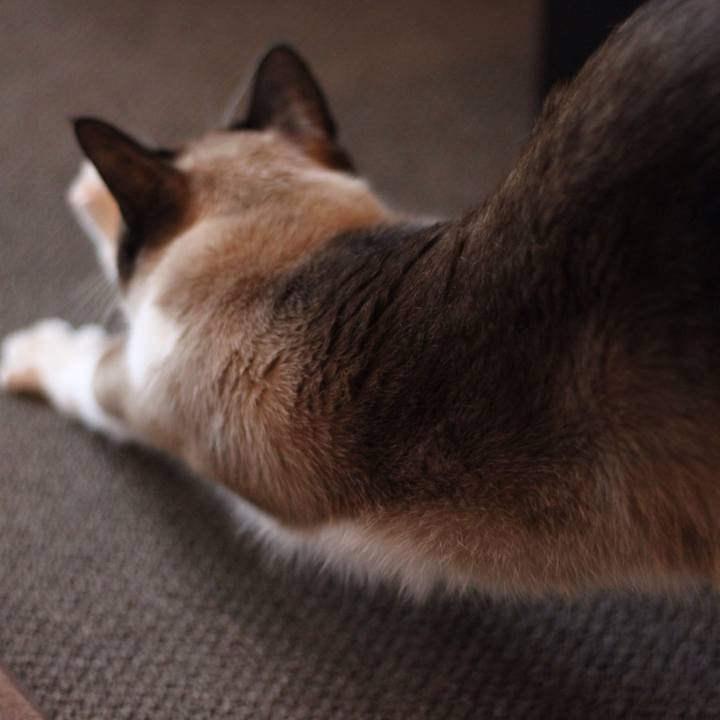 B6fbc8dc f27c 4c47 83f5 735202fe824e