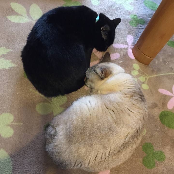 B6fbcc7e 0f5d 43c8 8878 6bf23db4c571