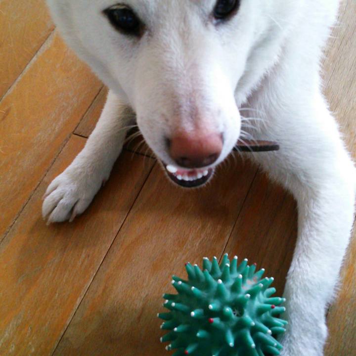 B6fc1851 043c 48da b780 b71f40031342