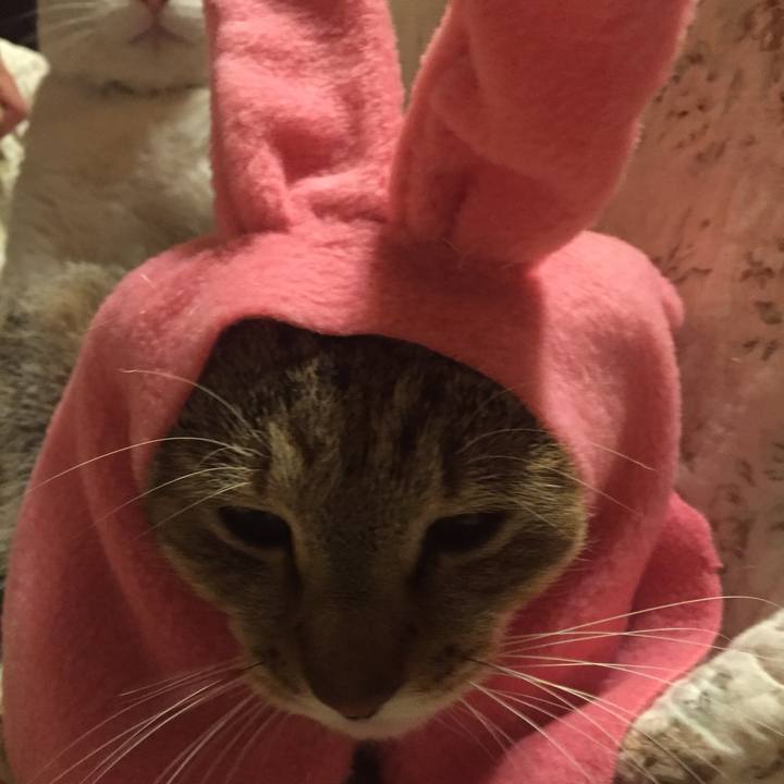 B6fc8796 a47f 49f0 b9a5 84548e0d13e6