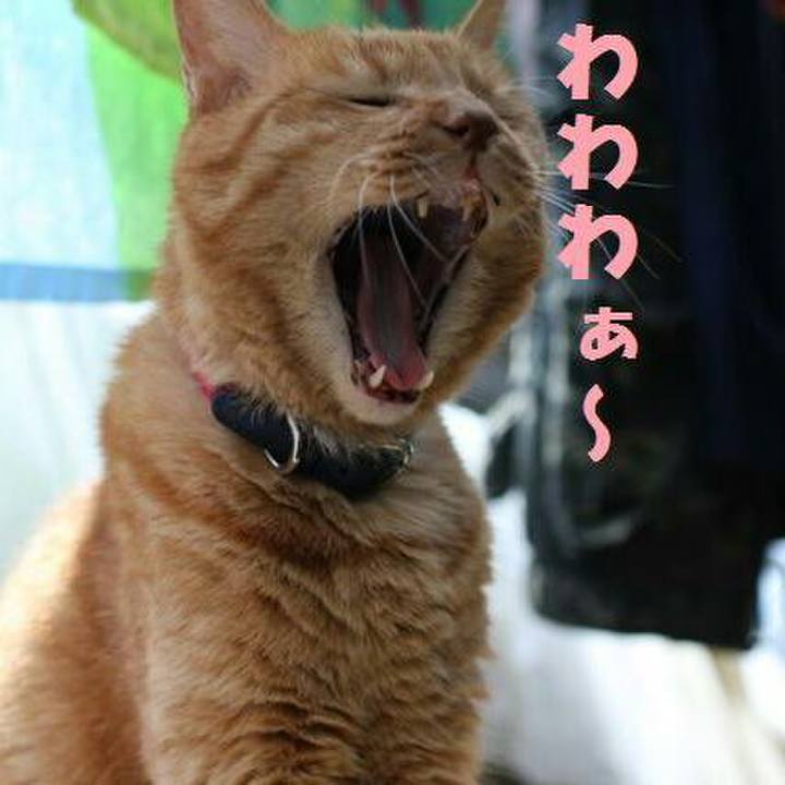 B6fd79f8 513f 43f7 9d2b e4892e40723c