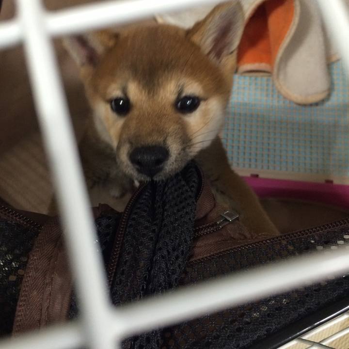 B6fdbcf2 3844 4383 96c0 90512c163c88