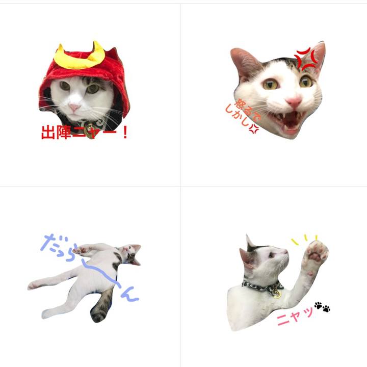 B6fdc7f3 e48d 49cc b4a1 d4657d88e767