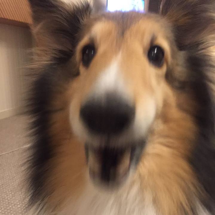 B6fe67a4 cbaf 48d8 b6f3 26919de2a7f7