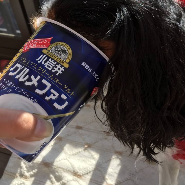 B6ff6926 5b2d 45ca 9700 3d87bc770818