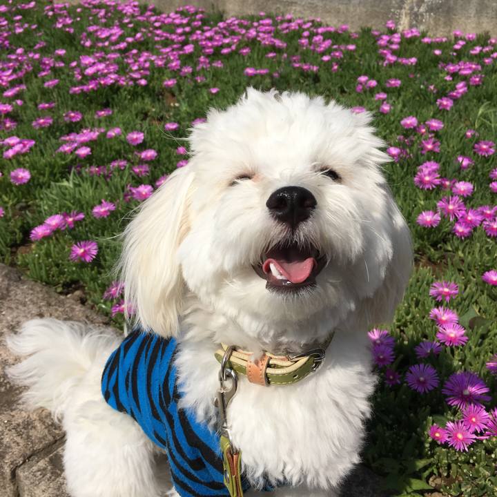 B6ffc990 bf6a 49cb 949c 45b49e2524de