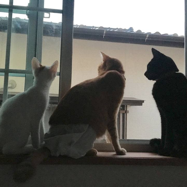 B6ffe25c d941 42b4 b1c2 5efdd6841720