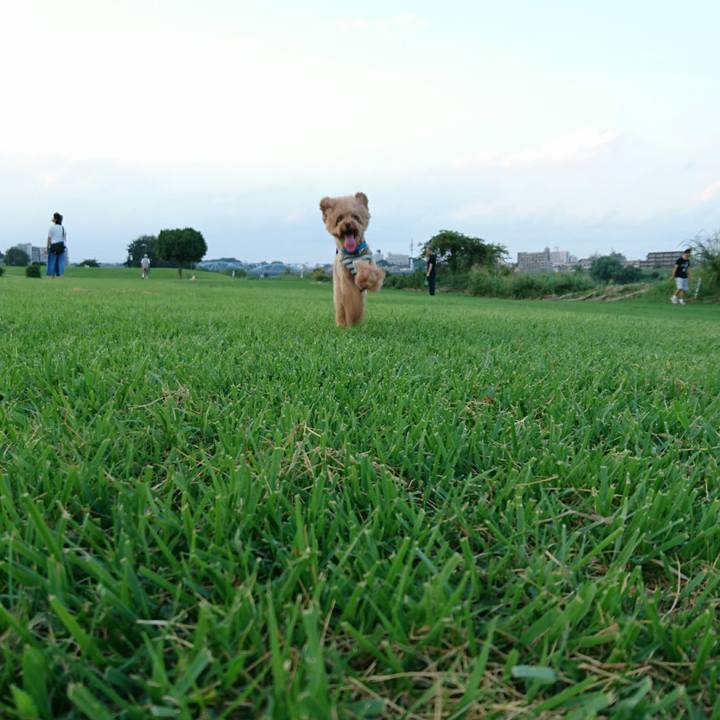 B6fff792 70e5 4081 8a1b e33e9691324d